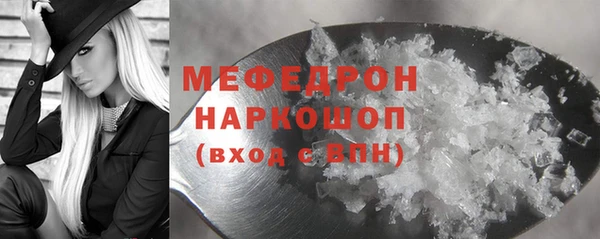 индика Абаза