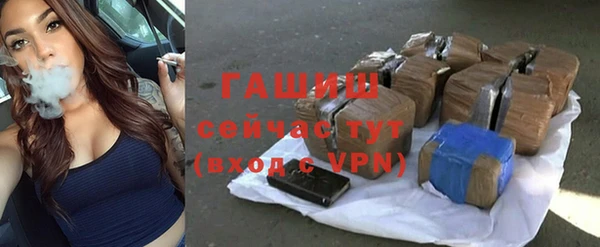 индика Абаза