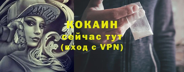 индика Абаза