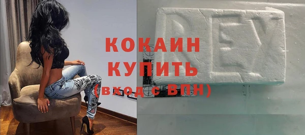 индика Абаза