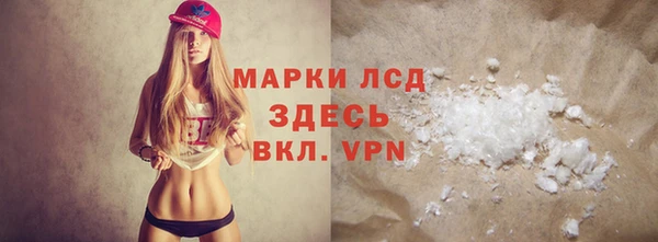 индика Абаза