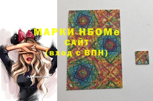 индика Абаза