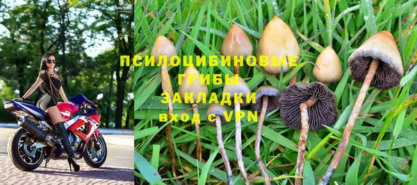 индика Абаза