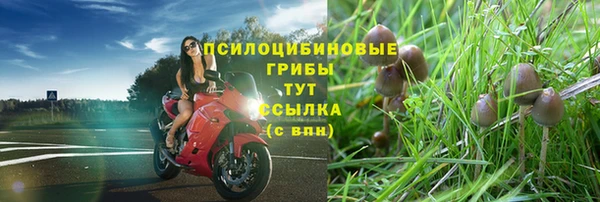 хмурый Абдулино