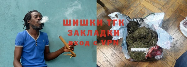 индика Абаза