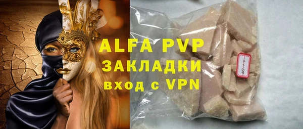 индика Абаза