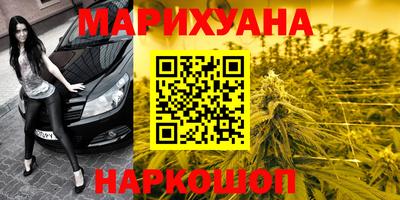 мдпв Новозыбков