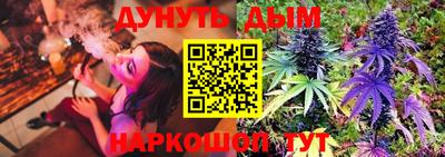 сатива Новокубанск