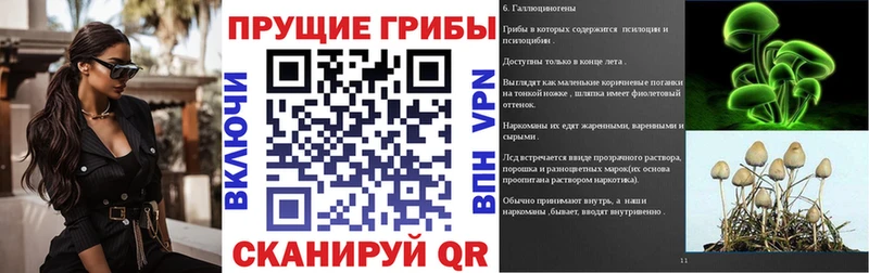 Галлюциногенные грибы мухоморы  Отрадное 
