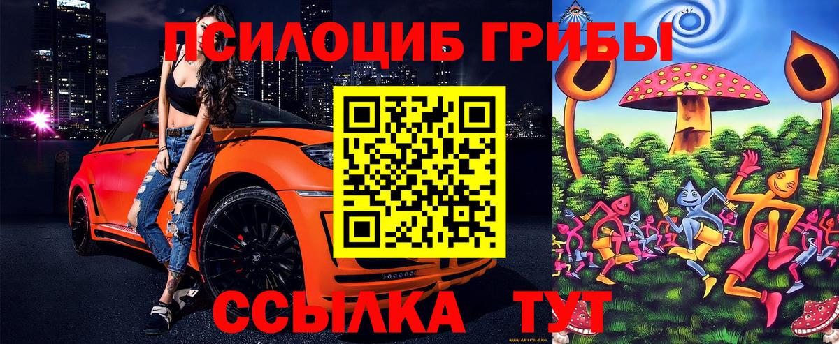 Псилоцибиновые грибы GOLDEN TEACHER  Вход с VPN  Отрадное  Галлюциногенные грибы Psilocybine cubensis 